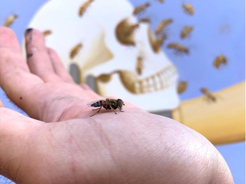 Fikos tries to combine ancient Greek mythology with the Byzantine iconography