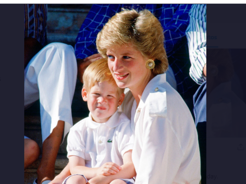 Diana, the Princess of Wales
