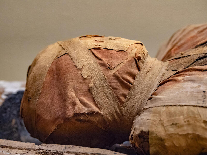 Egyptian mummy