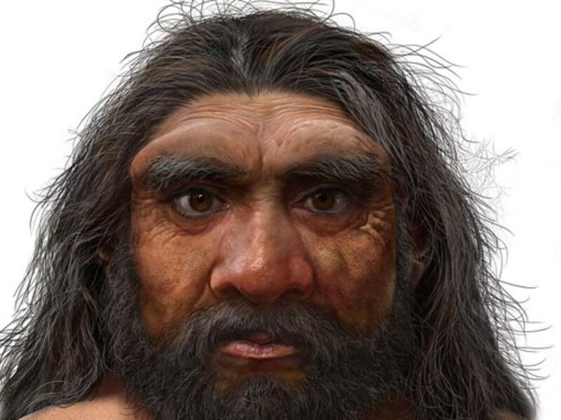 Homo longi 
