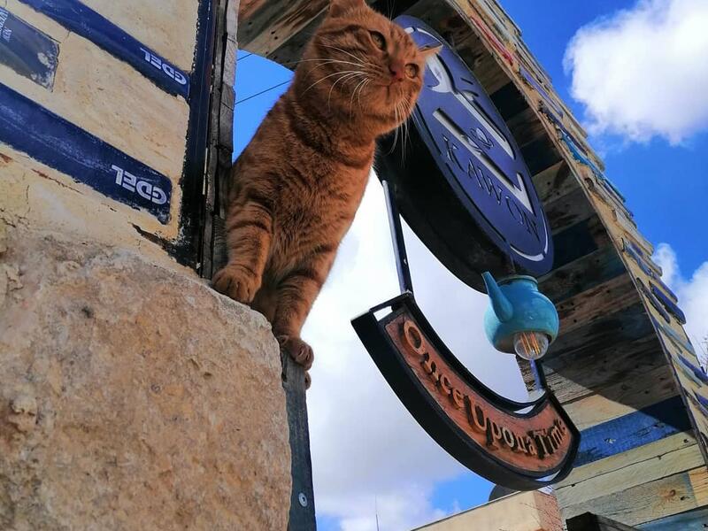 The bookshop offers travelers and locals something different