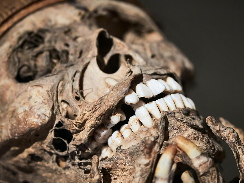 Mummified skeletons found in Iznik city