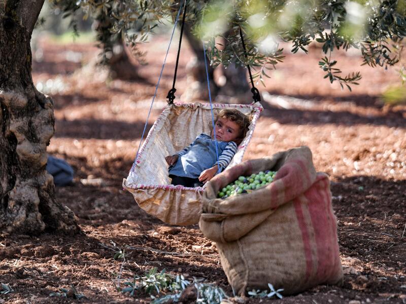 COVID-19 pandemic has undermined the Middle East's food security progress
