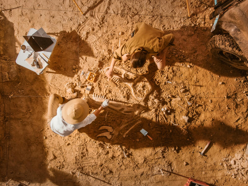 Archaeologists have unearthed Bronze Age structures in Panaztepe