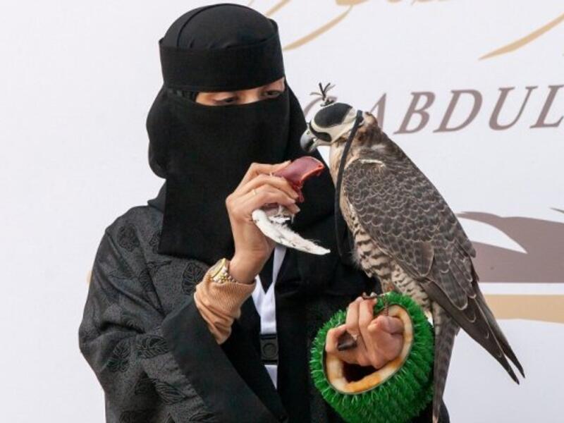 الصقر: ويرمز إلى الثقافة والتقاليد التي ورثها الشعب السعودي من الآباء والأجداد وهي "الصقارة".