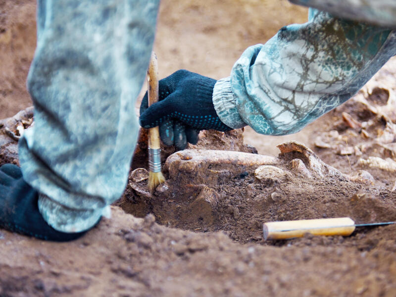 The largest illegal silversmithing site in Roman Britain has been discovered.