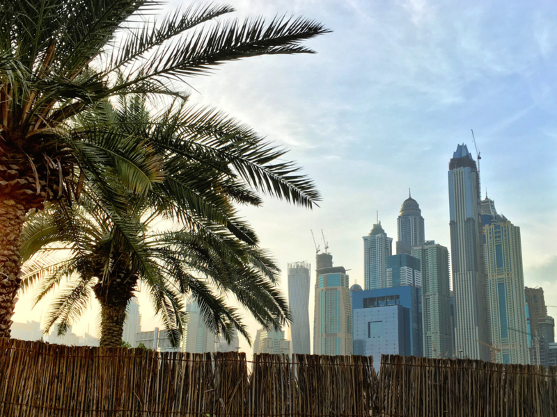 GCC IPOs 