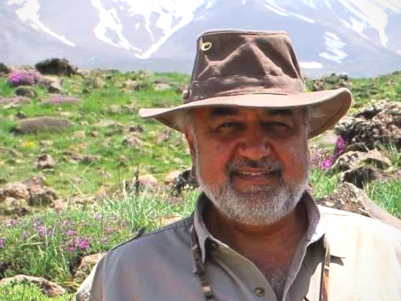 Morad Tahbaz's case