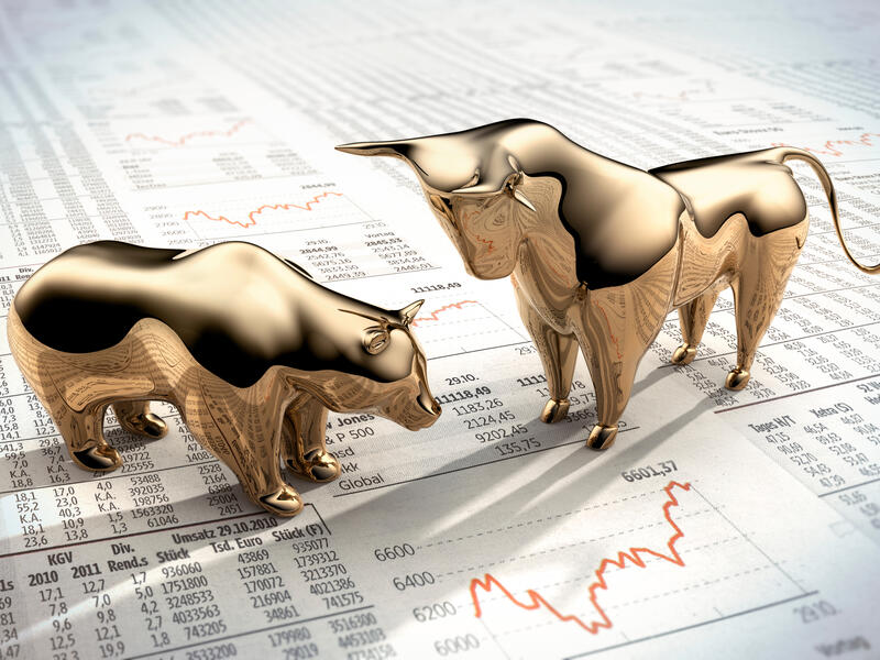 bear market bull market