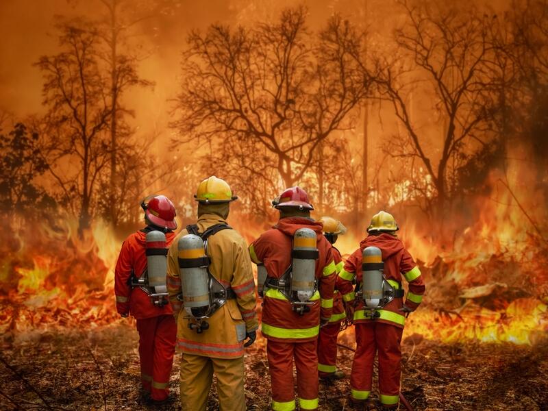Firefighters 