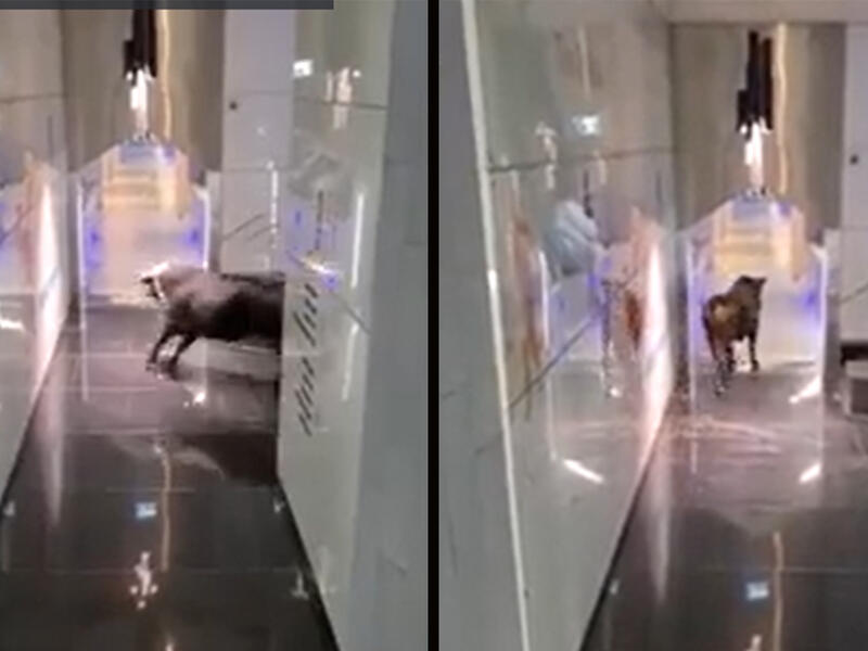 Israeli bank