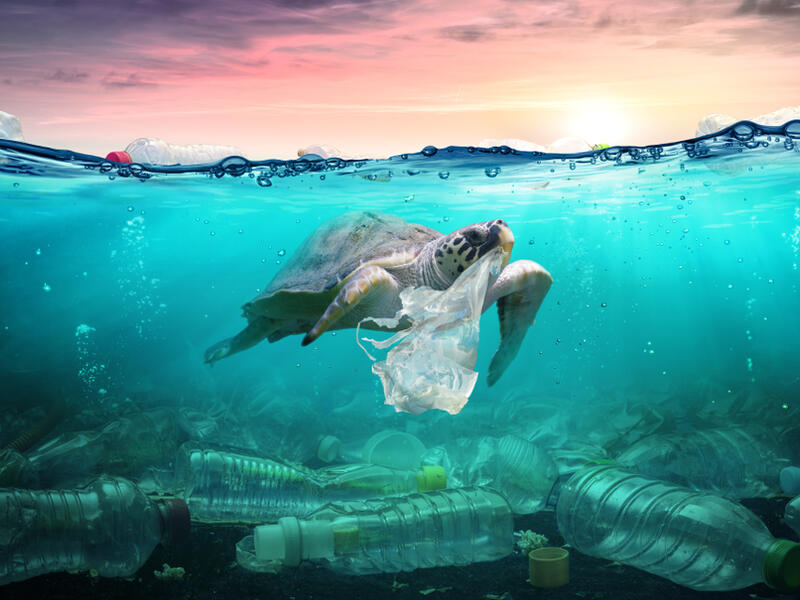 plastic waste