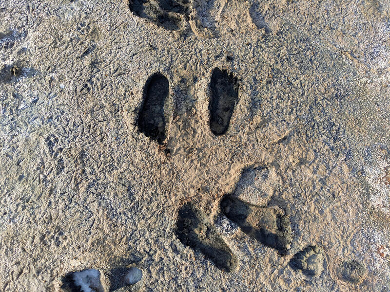 ghost footprints