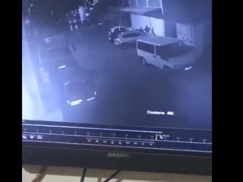 بيتونيا