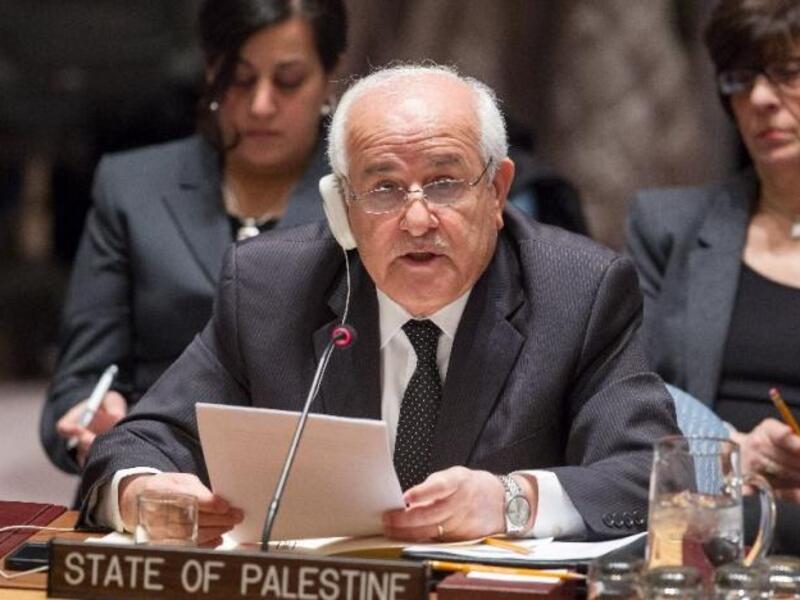 Riyad Mansour 
