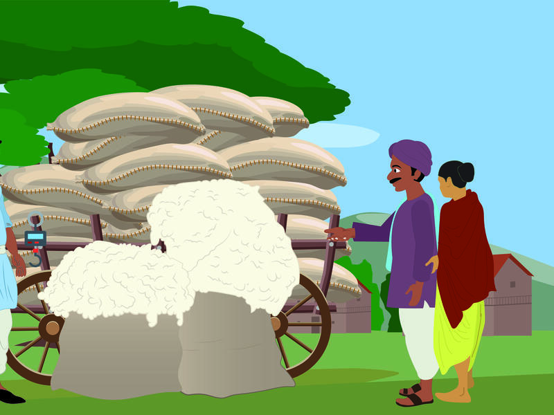 India cotton