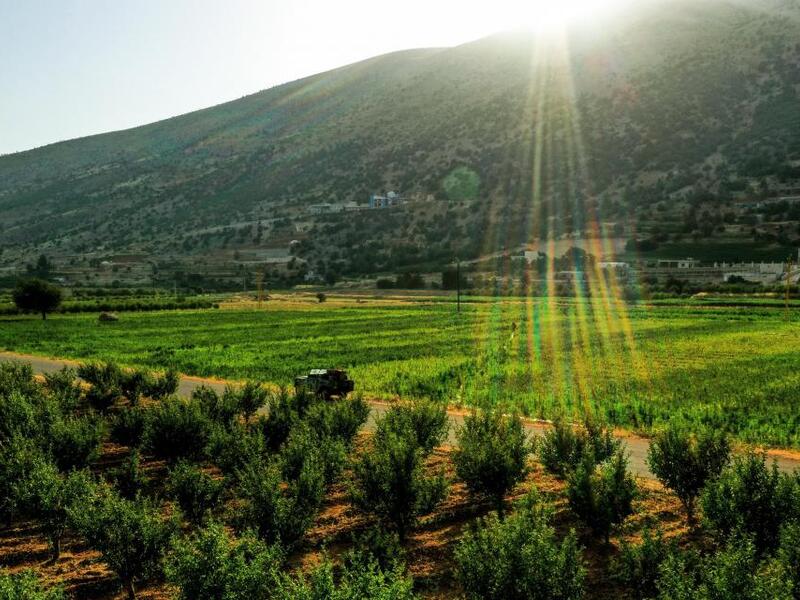 File: An aerial view of cannabis fields in the village of Yamouneh in eastern Lebanon’s Bekaa Valley on July 29, 2020. Photos: Joseph Eid/AFP