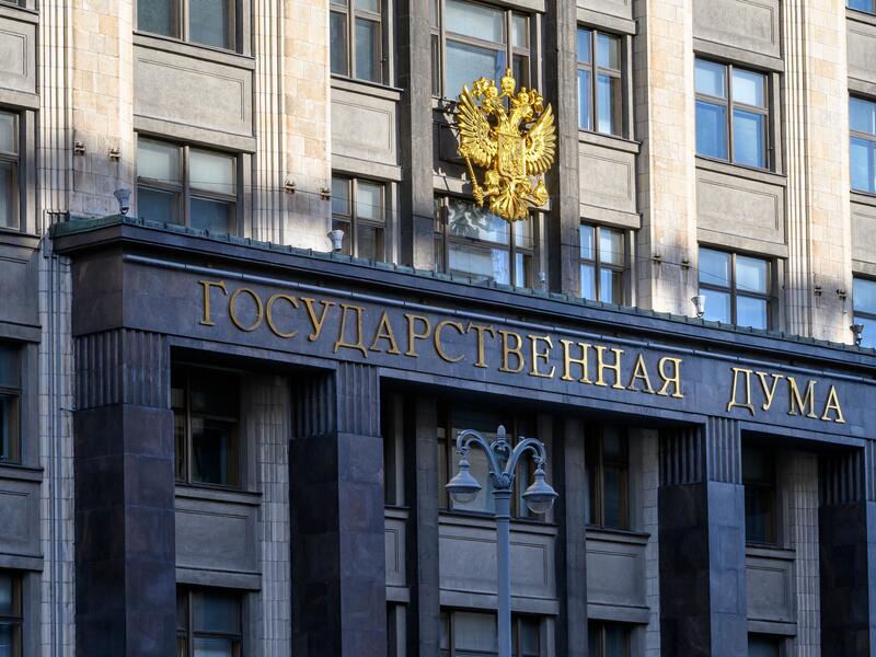 The State Duma