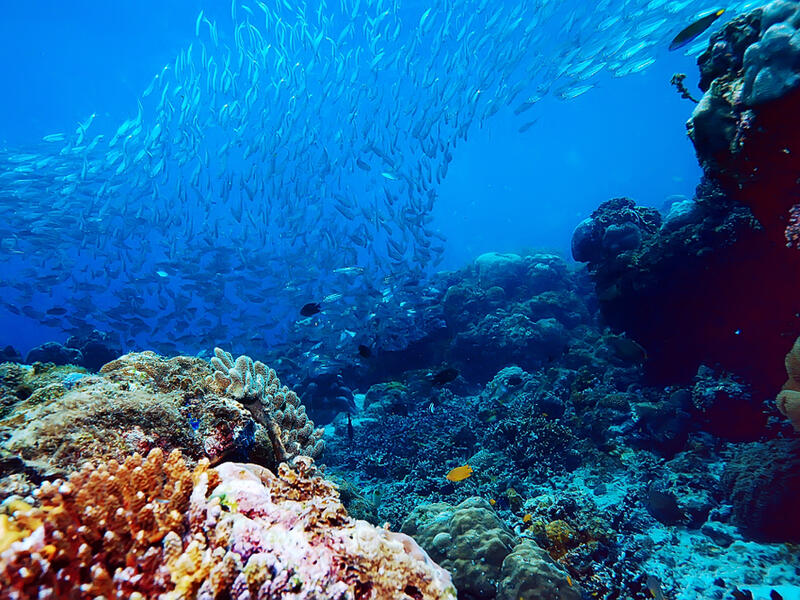 Ocean hole