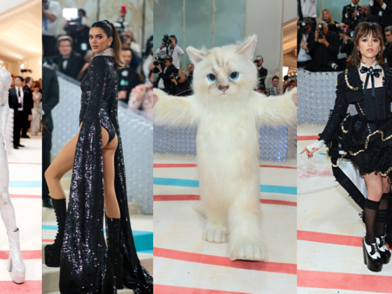 What do these Met Gala outfits mean?