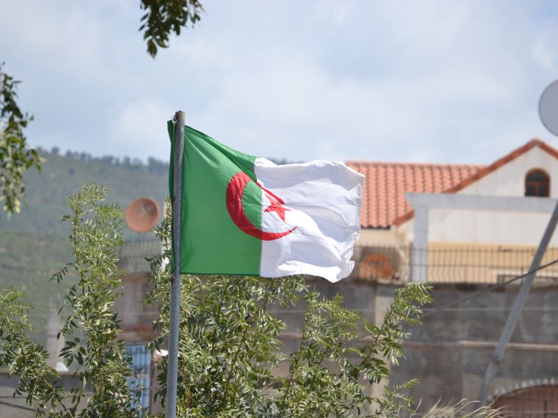 علم الجزائر