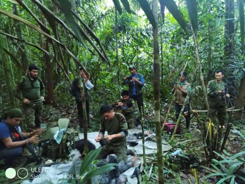 Amazon jungle