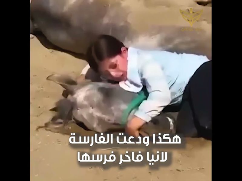 لانيا فاخر 
