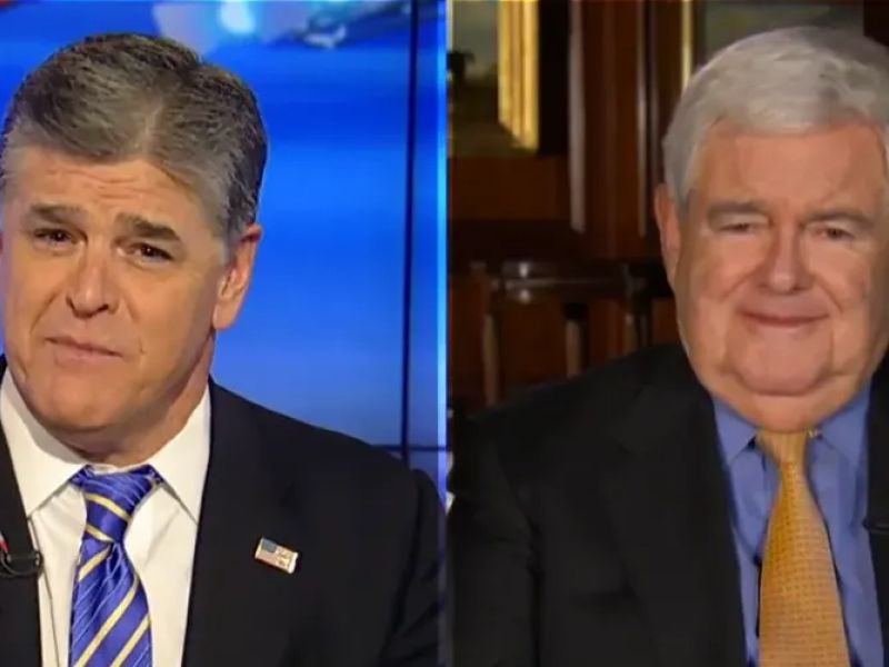 Hannity and Gingrich criticized for their responses to Maine shooting. (Twitter)