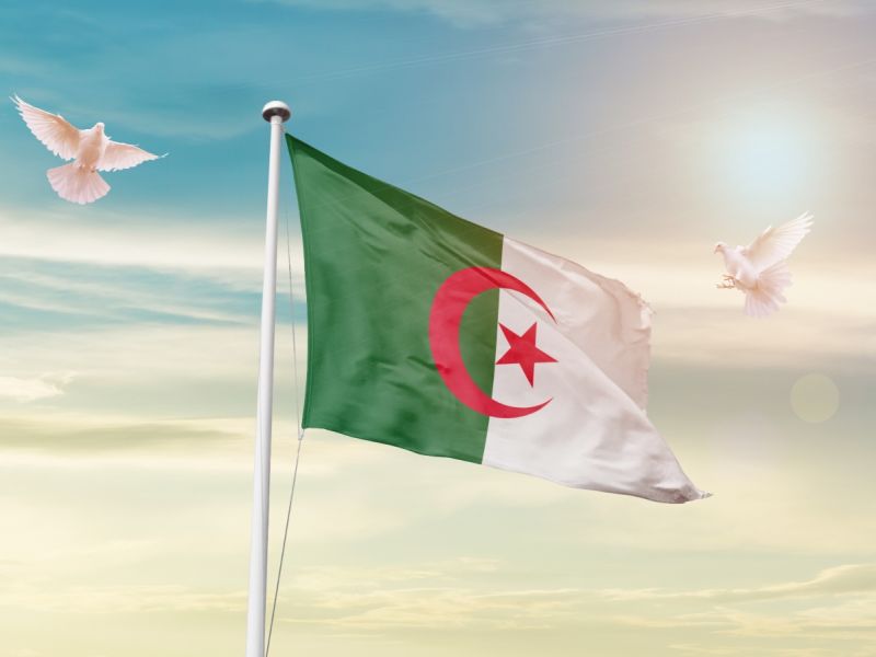أبرز وأهم 5 شعراء في تاريخ الجزائر
