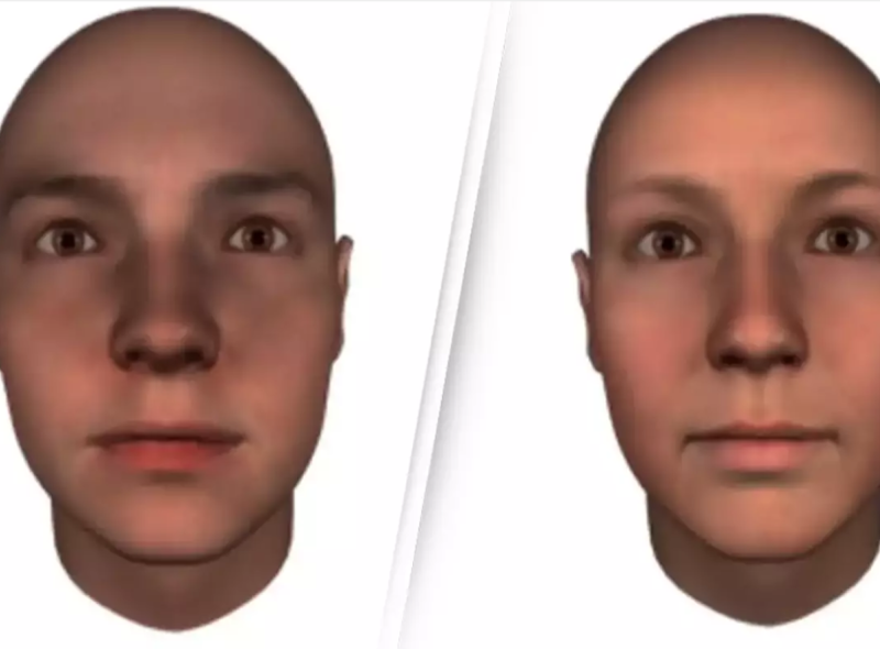 Face shape 