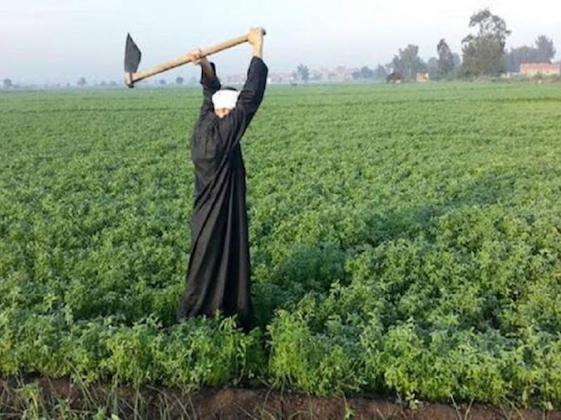 تعرف على مزايا كارت الفلاح الذكي في مصر