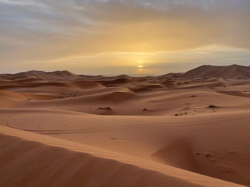 12 Syrians found dead in the Algerian desert