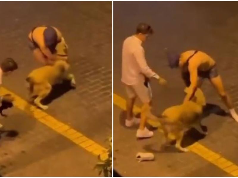 Two tourists arrested in Turkey for attempting to rape a stray dog