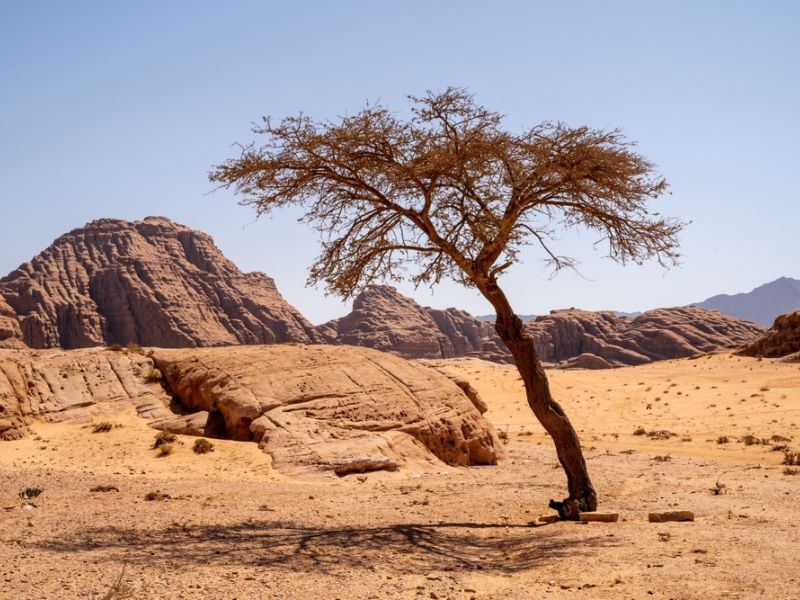 4.0 magnitude earthquake strikes Jordan’s Aqaba area
