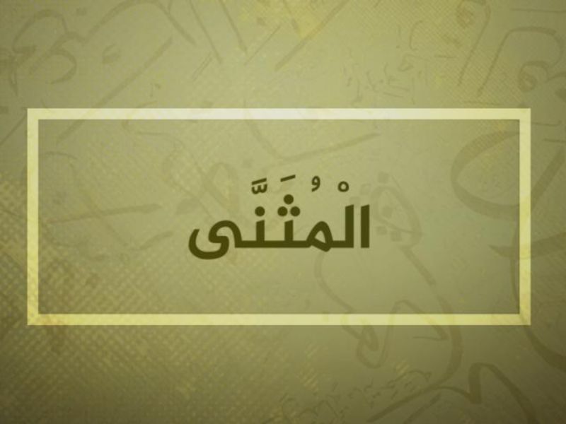 معنى اسم المثنى وصفاته