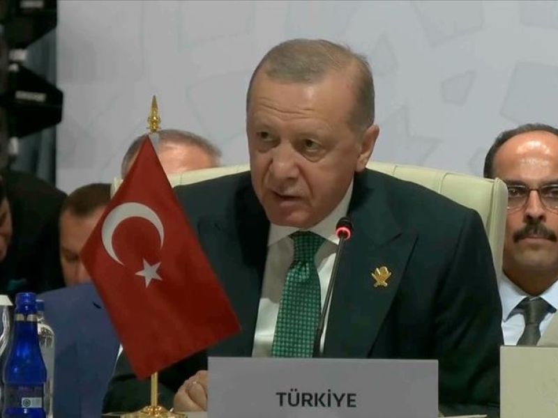 أردوغان في قمة قطر