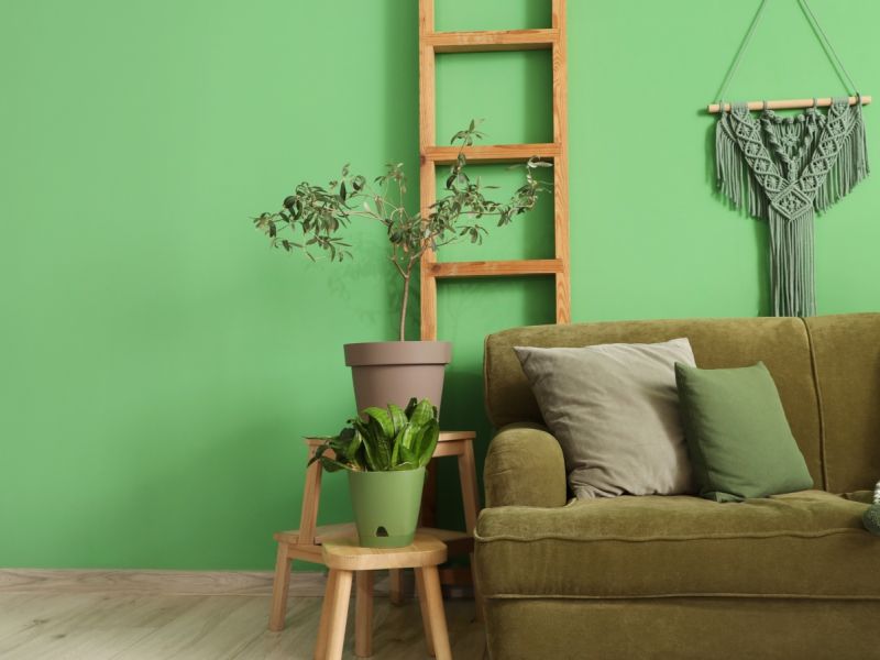 أحدث صيحات ألوان الديكور لعام 2026 لمنزل دافئ وأنيق