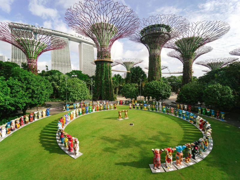 The Most Unusual DHL Deliveries 2025 –  A Special Year-End Review of the Global Market Leader in Logistics