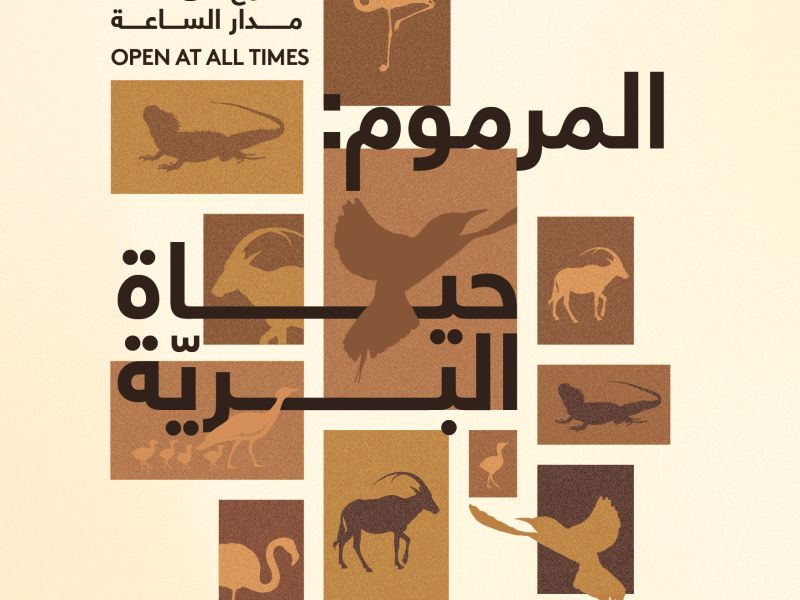 ‘Al Marmoom: The Living Wild’ Exhibition Celebrates Al Marmoom's Natural Wonders