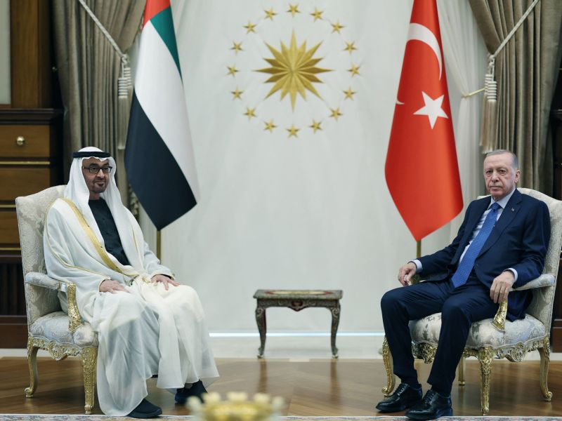 Erdogan and Greek PM postpone UAE visits amid MBZ health