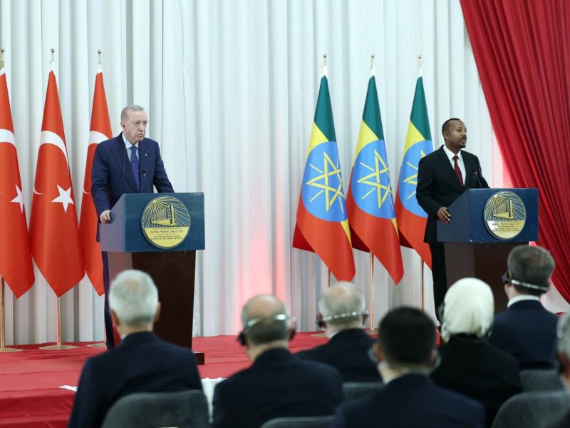 Erdogan warns against foreign interference in Horn of Africa during Ethiopia visit