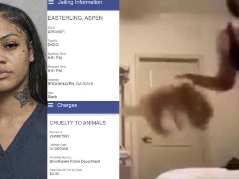 Aspen Kartier