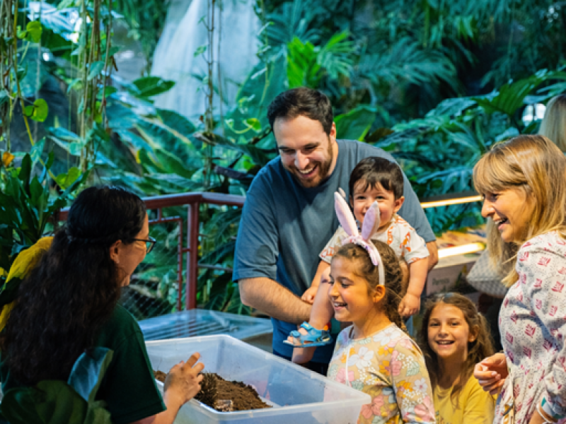 ذا جرين بلانيت دبي تقدّم فعالية في عيد الفصح مستوحاة من الطبيعة لجميع أفراد العائلة