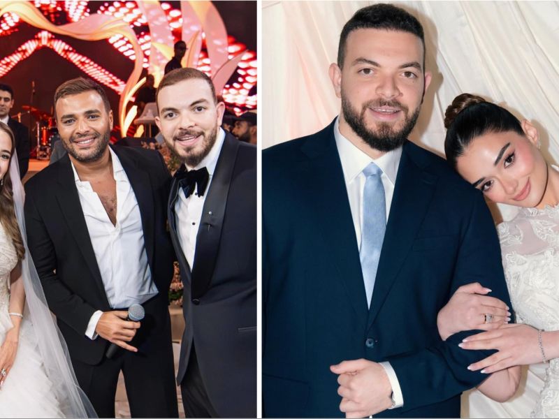 Malak Ahmed Zaher and Sherif Elleissy