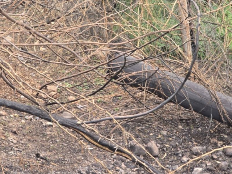 سقوط شظايا في شمال المملكة