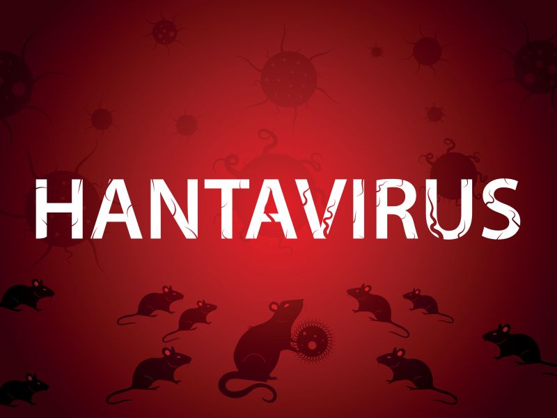 Hantavirus disease