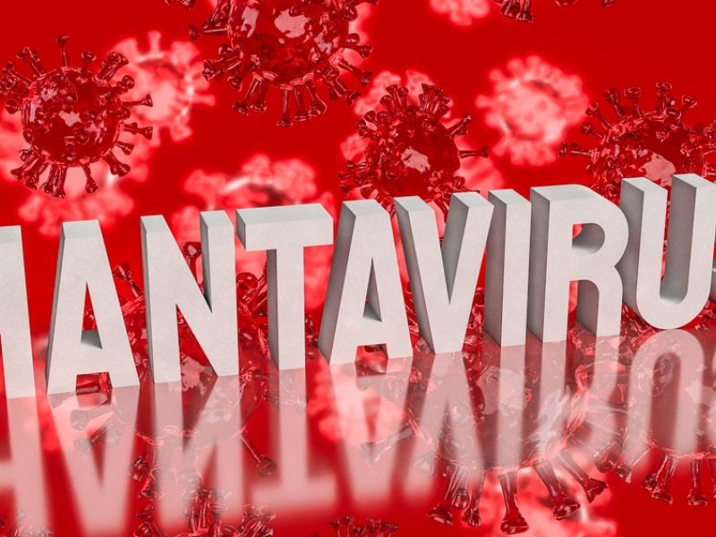 Hantavirus 