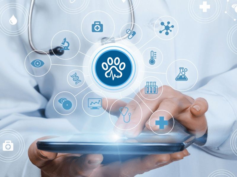 From Diagnosis to Treatment: Bupa CareConnect Advances Integrated Care as Digital Consultations Grow More Than Fivefold
