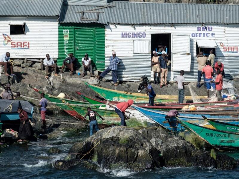 A picture taken on October 5, 2018, shows dried Nile Perches on Migingo island which is densely populated by residents fishing mainly for Nile perch in Lake Victoria on the border of Uganda and Kenya. 
Yasuyoshi CHIBA / AFP