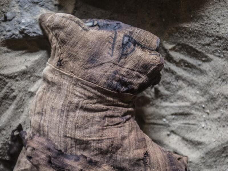 Mummified cats are seen during the demonstration of a new discovery made by an Egyptian archaeological mission. (KHALED DESOUKI / AFP)